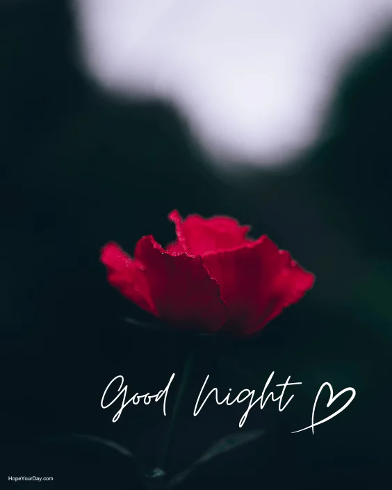 Good night images with love