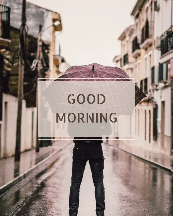 Good Morning Rainy Image