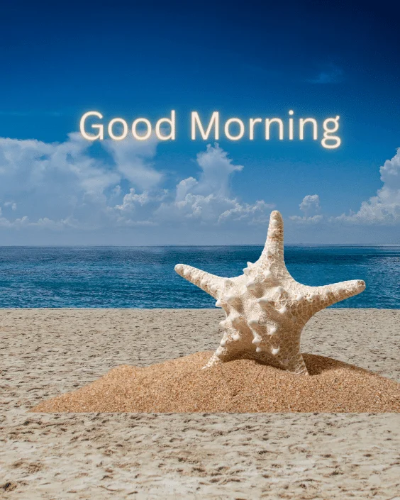 Good Morning, Ocean Breeze Image