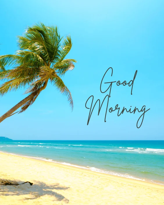 Good Morning, Ocean Breeze Image