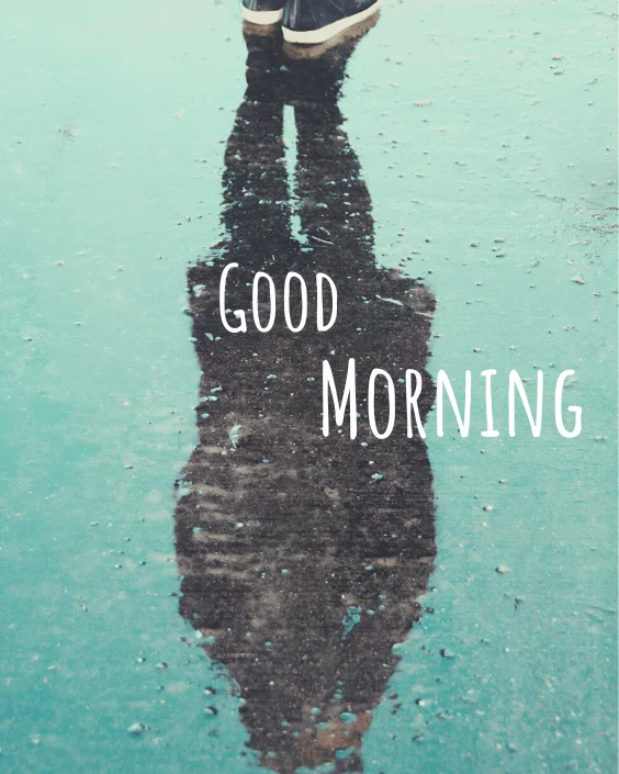 Good Morning Rainy Image