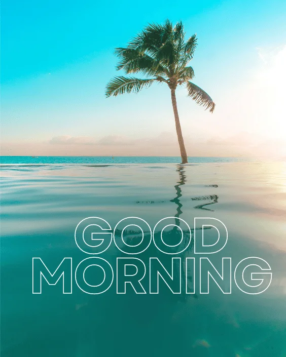 Good Morning, Ocean Breeze Image