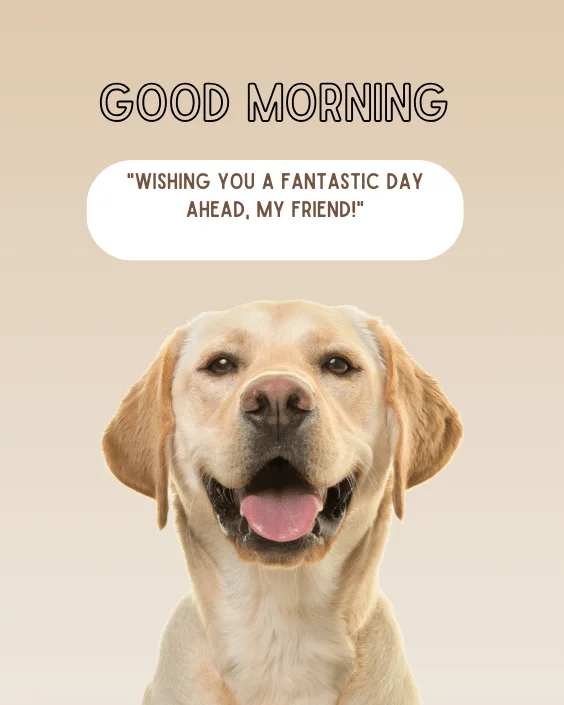 Good Morning Dog with Quotes Image