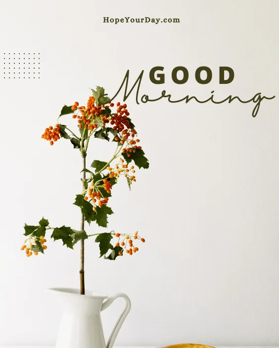 Good Morning Flowers Blossom images