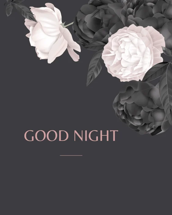 Good Night with Rose Image