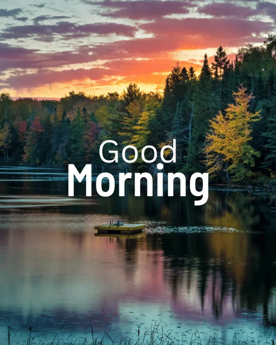 Good Morning Nature Image