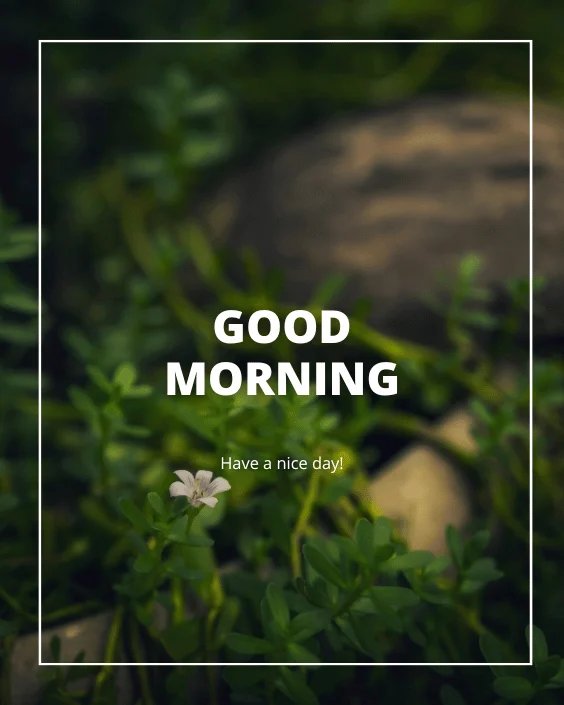 Good Morning Nature Image