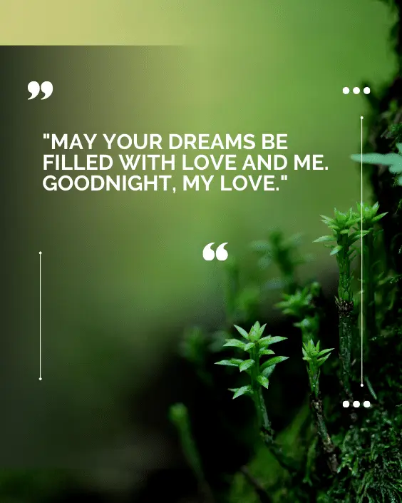 Good Night Wish for Lover Image