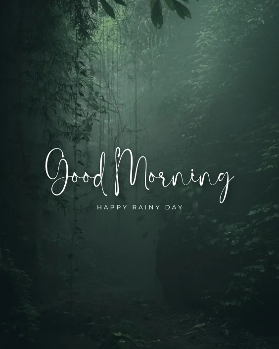 Good Morning Rainy Image