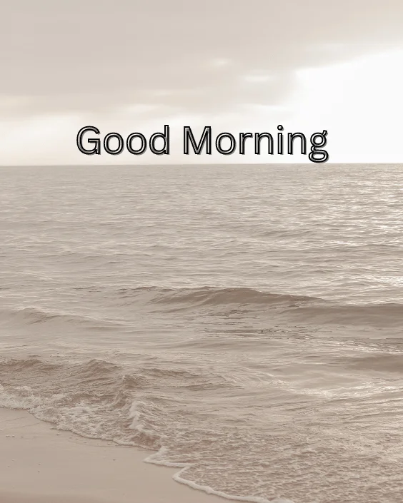 Good Morning, Ocean Breeze Image