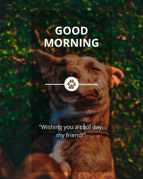 Good Morning Dog with Quotes Image