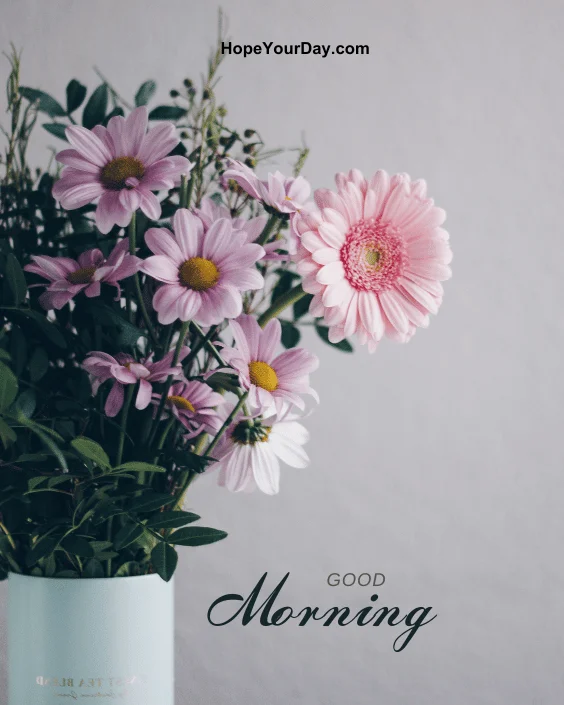 Good Morning Flowers Blossom image