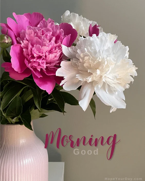 Good Morning Flowers Blossom image