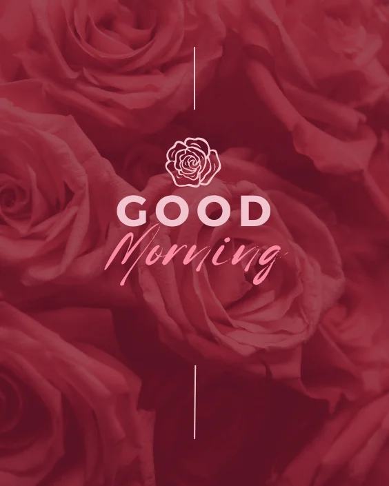 Good Morning Rose Image