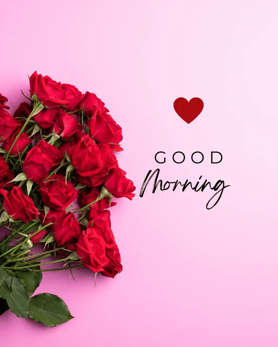 Good Morning Rose Image