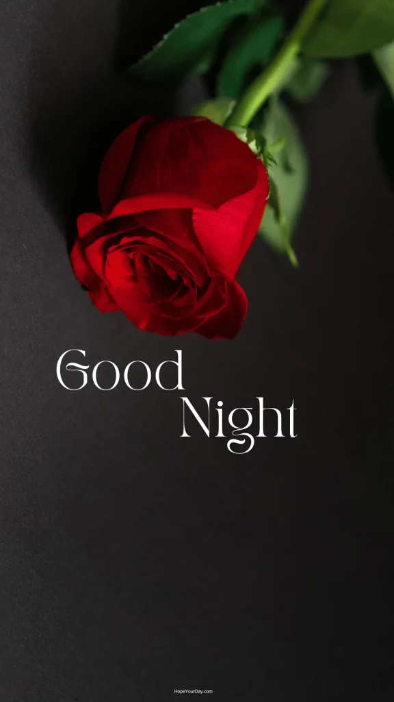 Good night images with love