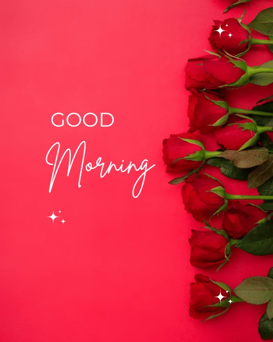 Good Morning Rose Image