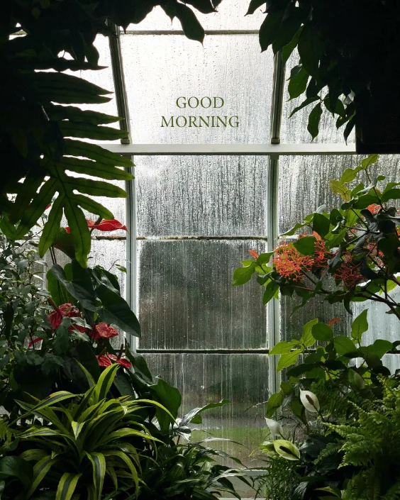 Good Morning Rainy Image