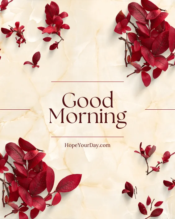 Good Morning Flowers Blossom image