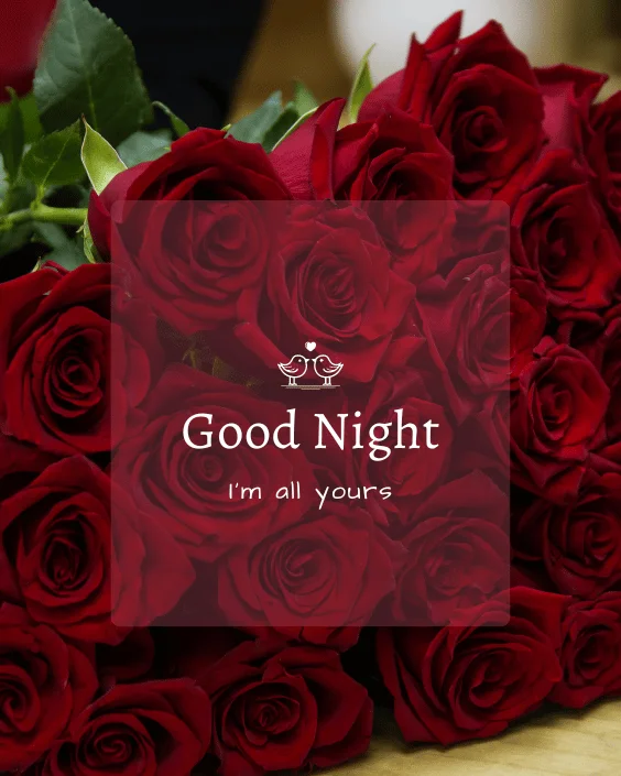 Good Night with Rose Image