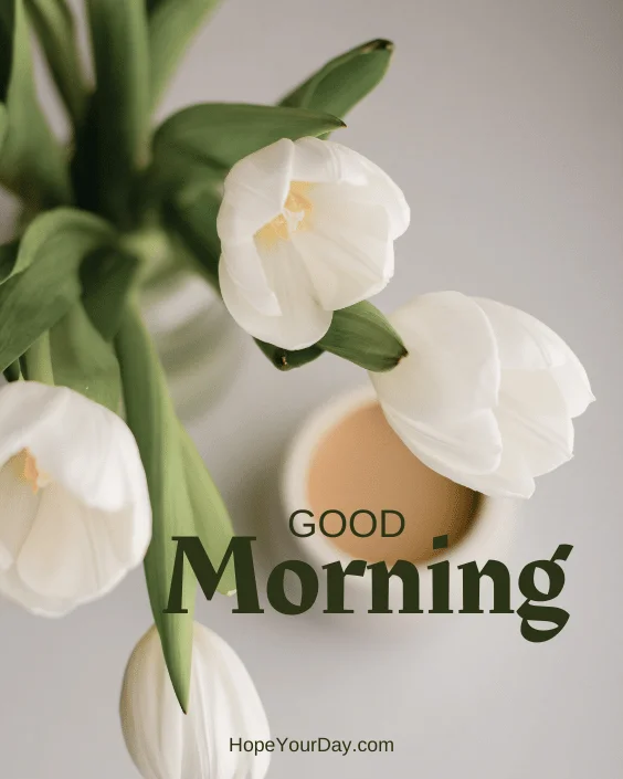 Good Morning Flowers Blossom image