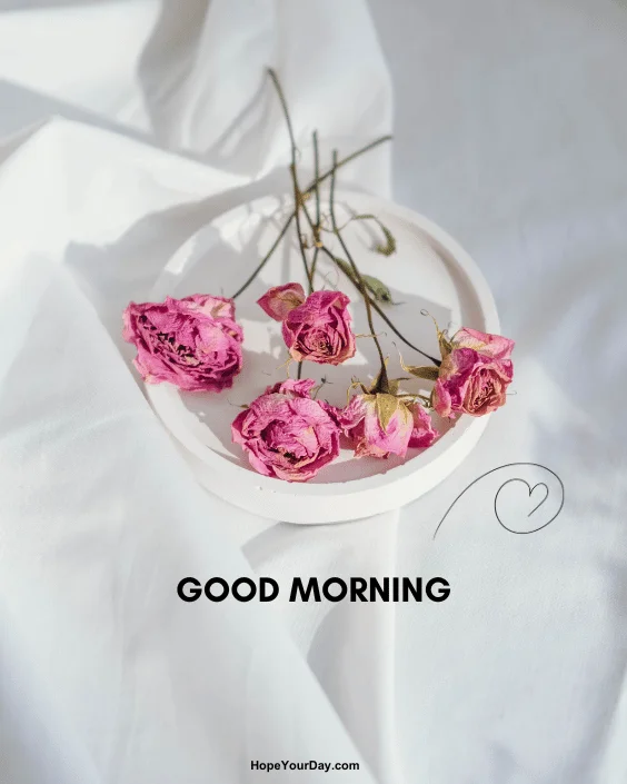 Good Morning Flowers Blossom image