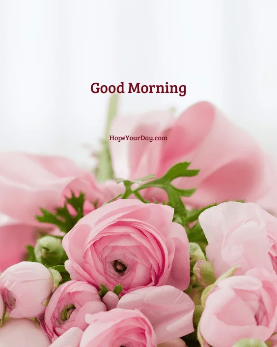 Good Morning Flowers Blossom image