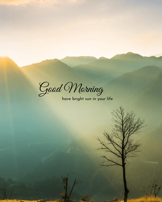 Good Morning Nature Image