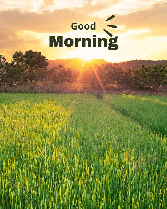 Good Morning Nature Image