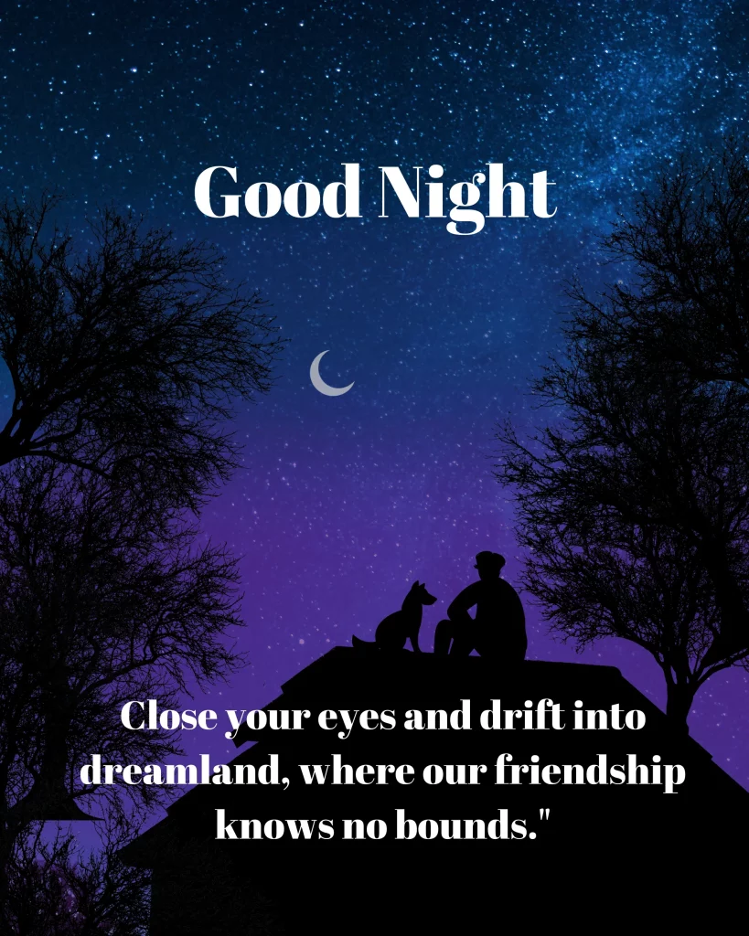 Friend Good Night Quote Image