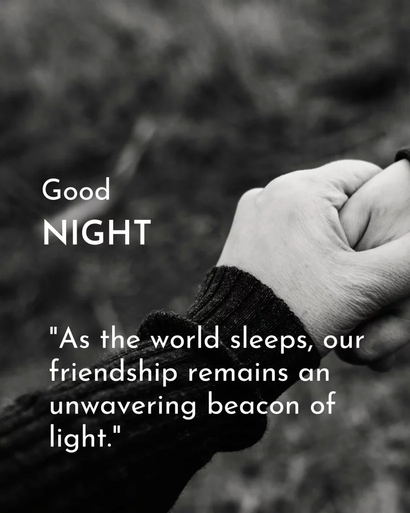 Friend Good Night Quote Image