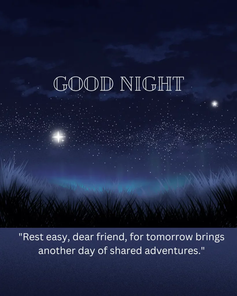 Friend Good Night Quote Image