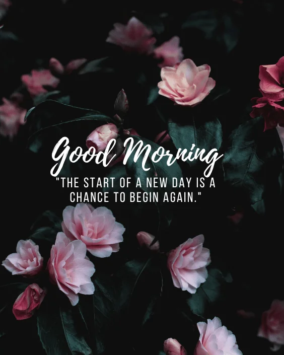 Short Morning Quote Image